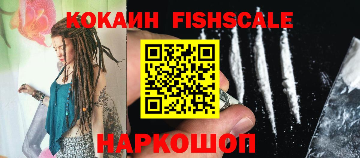 Cocaine Fish Scale  Вход с VPN  COCAIN Перу  COCAIN  Нижнеудинск 