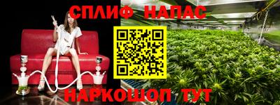 PSILOCYBIN Нарткала