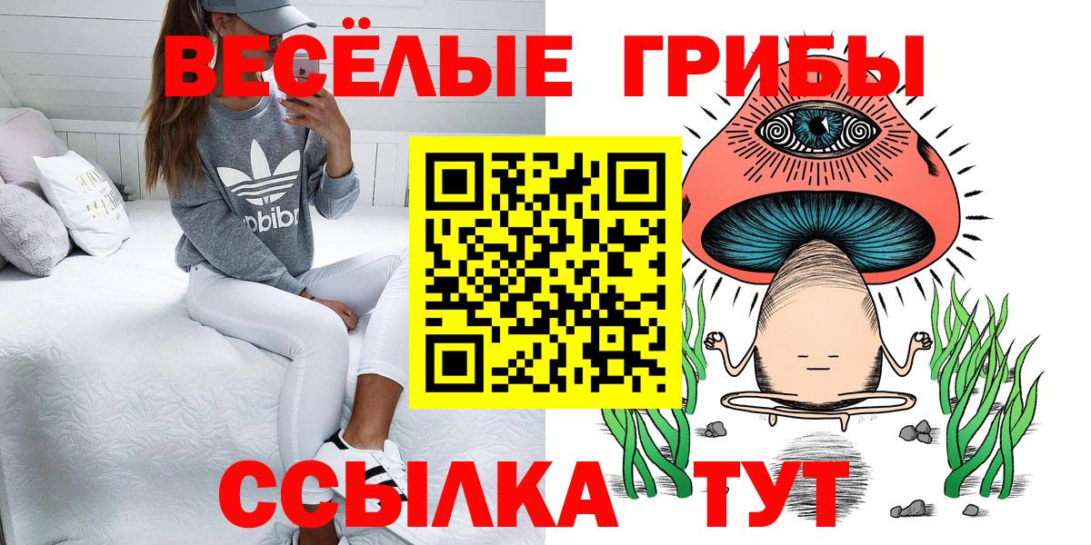 Нижнеудинск  Псилоцибиновые грибы MAGIC MUSHROOMS  Вход с VPN 